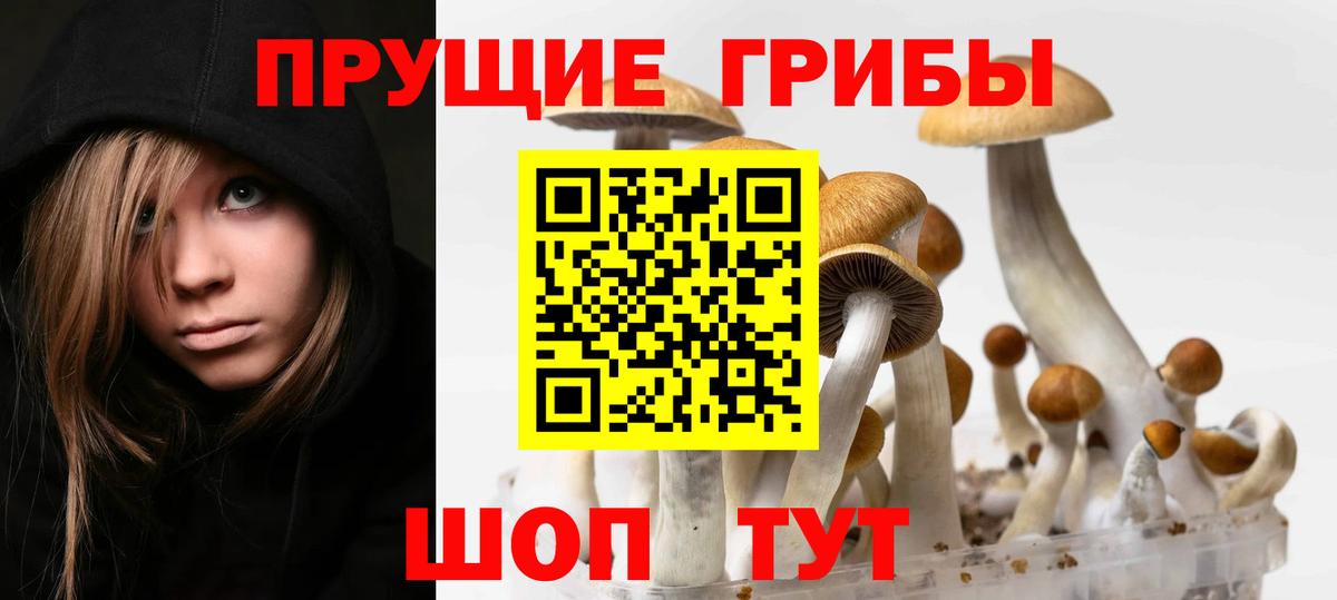 Архангельск  Псилоцибиновые грибы Psilocybine cubensis  где купить   Вход с VPN 