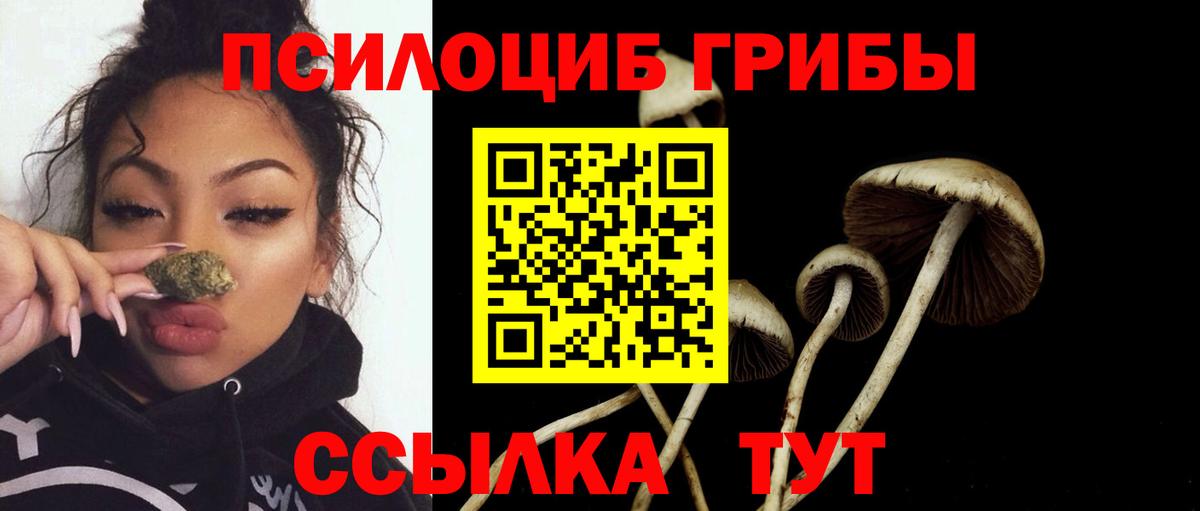 Галлюциногенные грибы мухоморы Архангельск